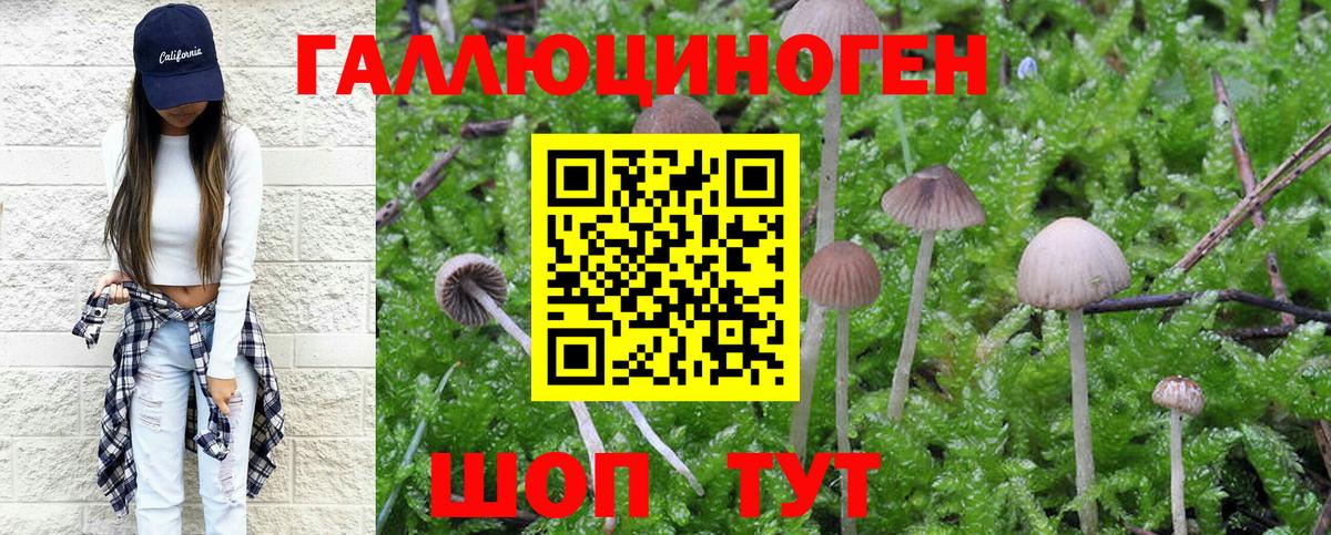 Гуково  Псилоцибиновые грибы Magic Shrooms  Вход с VPN 